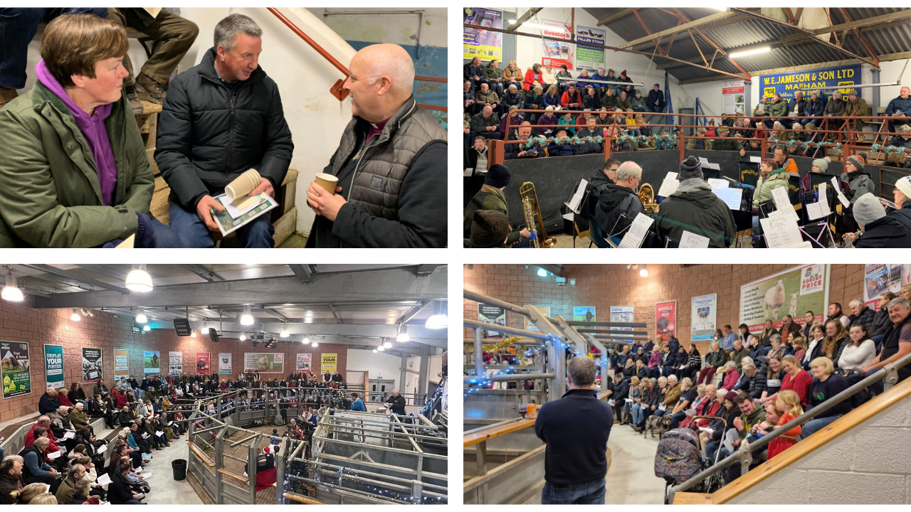 Four images from RABI events.