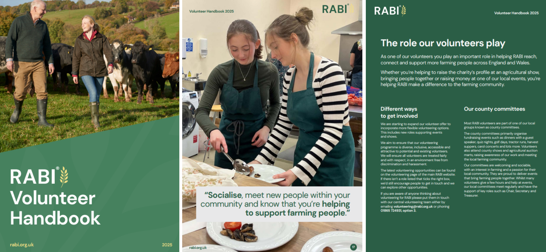 RABI 2025 Volunteer handbook