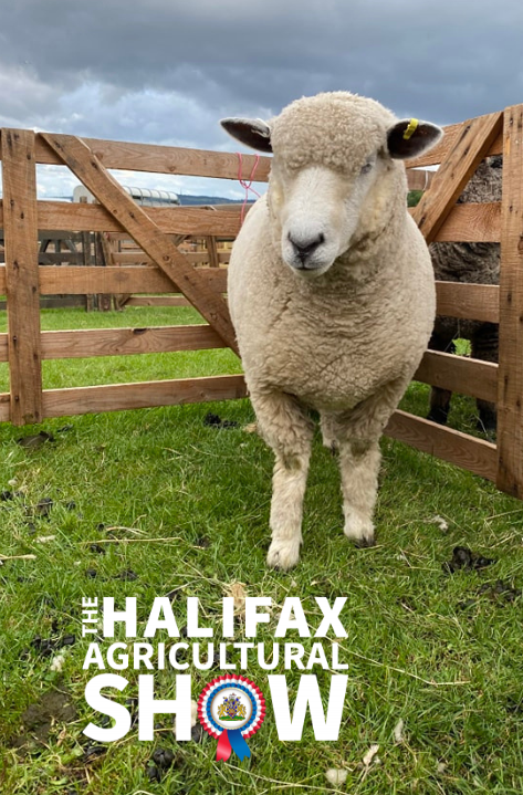 A sheep stands in a wooden pen on grass at the Halifax Agricultural Show, with the show logo in the corner