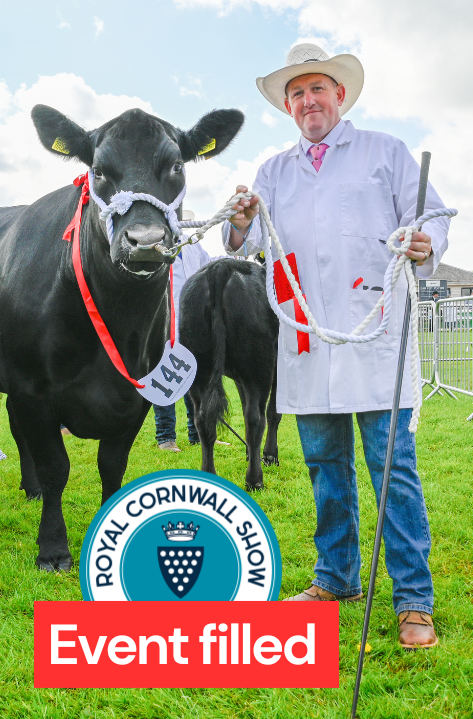 A smiling livestock handler in a white coat and cowboy hat stands beside a prize-winning black cow at the Royal Cornwall Show. A red banner at the bottom reads ‘Event filled’, indicating no more volunteer places are available