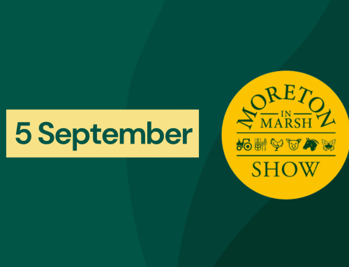 Moreton in Marsh Show – Event Volunteer