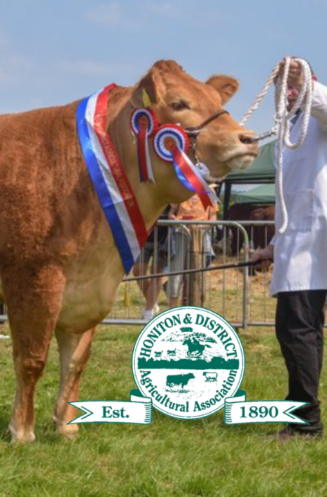 A prize-winning cow wearing red, white, and blue rosettes is held by a handler in a white coat at an agricultural show. The Honiton & District Agricultural Association logo and "Est. 1890" appear prominently at the bottom of the image.