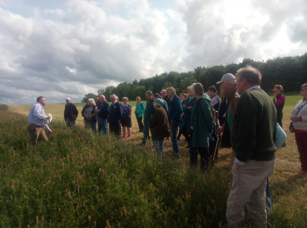 A group of people attentively listening to a guide during a farm tour at Cotswold Farm Park, standing in an open field.
