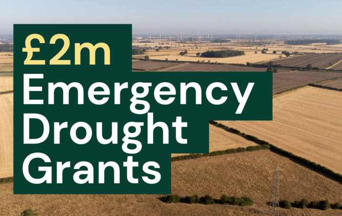RABI's £2m Emergency Drought Grants