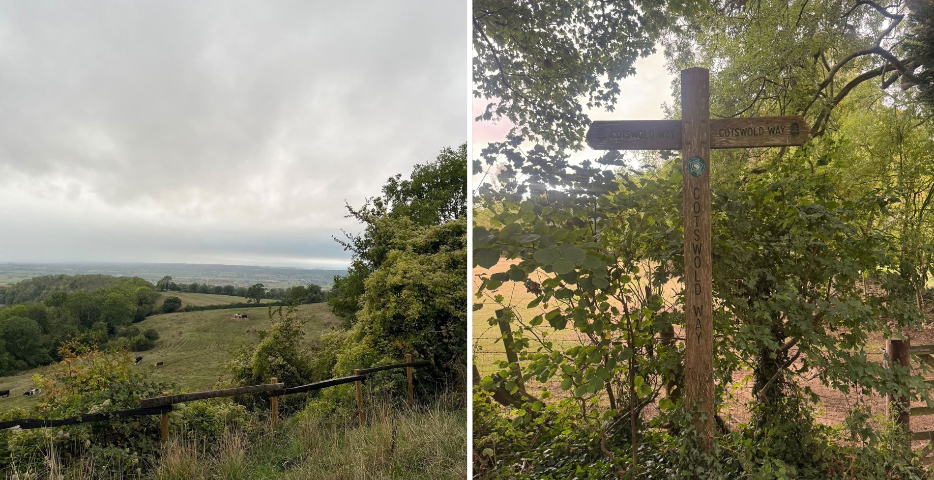 rabi-edwards-way-scenery-1. Scenery shot of the cotswold way