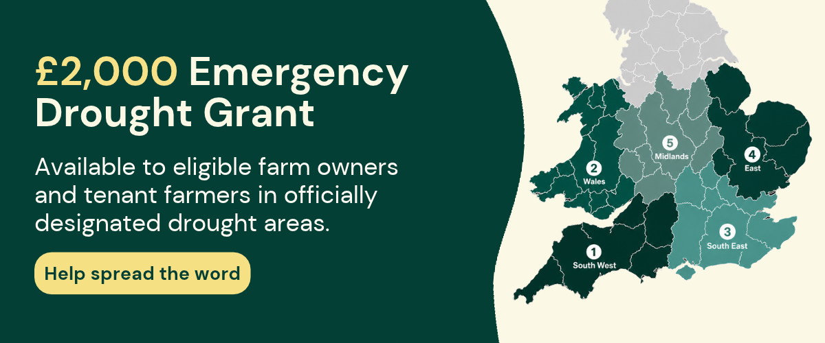 rabi-emergency-drought-grant Graphic promoting RABI’s £2,000 Emergency Drought Grant for eligible farm owners and tenant farmers in officially designated drought areas, with a map showing the five regional phases and a call to “Help spread the word.”