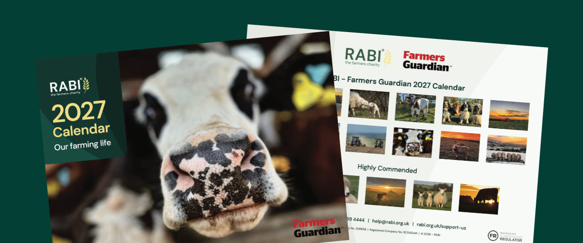 rabi-volunteering-2027calendar-promotion Graphic promoting the RABI and Farmers Guardian 2027 calendar, featuring a close-up image of a cow on the cover and a selection of winning and highly commended farming photographs.